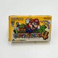 Super Mario Advance 4